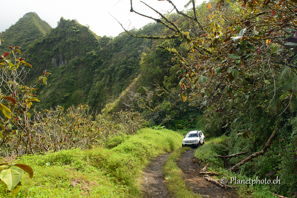 Tahiti - Vallée de Papenoo