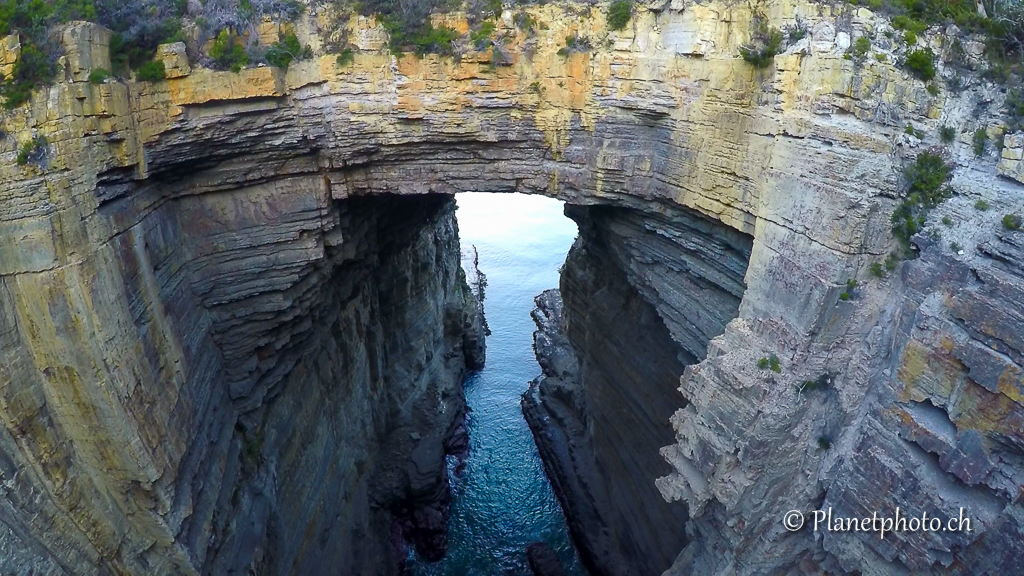 Tasman Arch