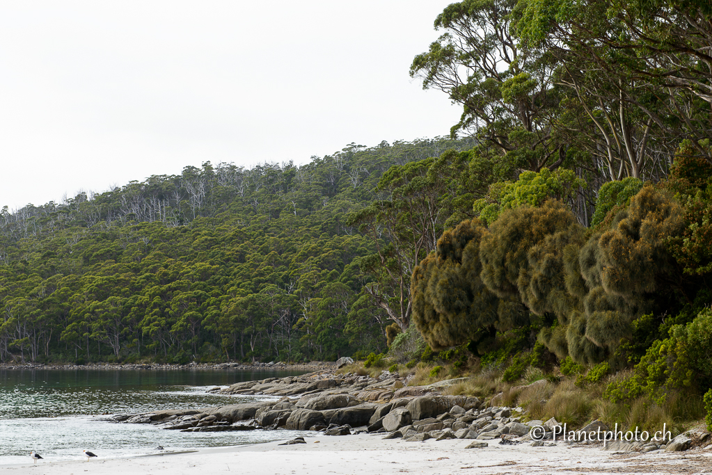 Fortescue Bay