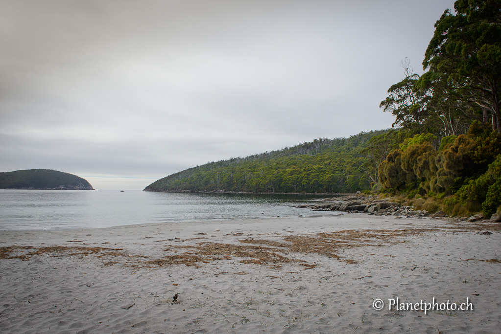 Fortescue Bay