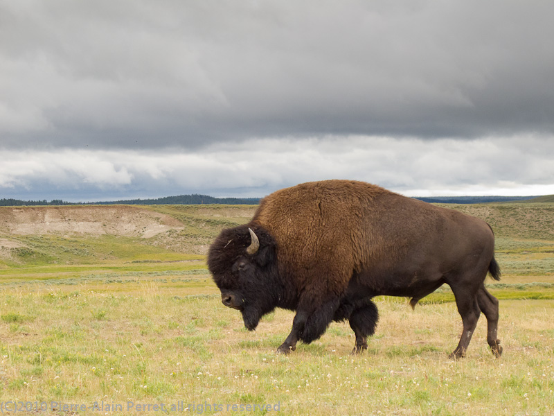 USA - Yellowstone nat. park