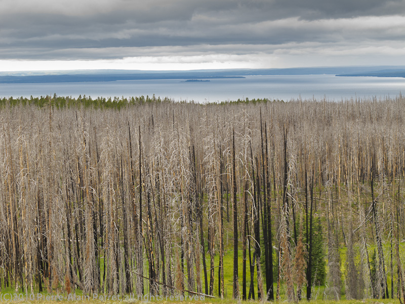 USA - Yellowstone nat. park