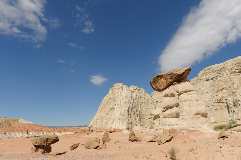 USA - Toadstool Hoodos