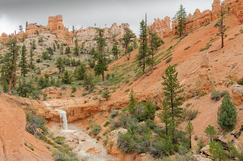 USA - Bryce canyon nat. park