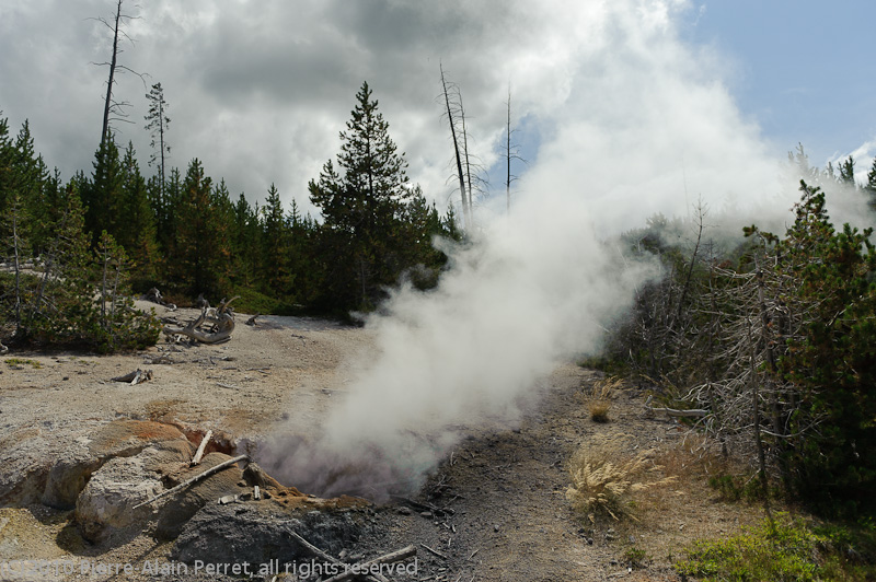 USA - Yellowstone nat. park